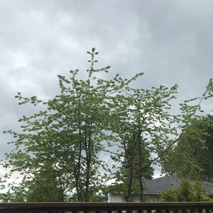 Meet your Posher, Barsam